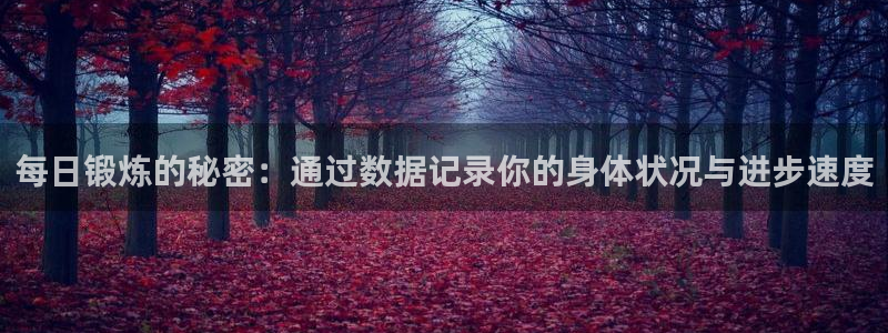 球王会体育：每日锻炼的秘密：通过数据记录你的身体状况与进步速度