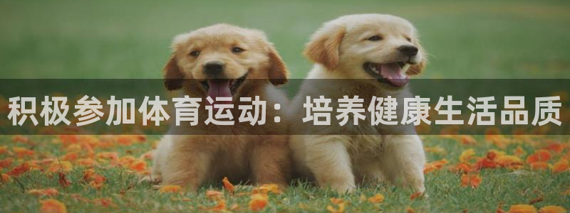 球王会体育：积极参加体育运动：培养健康生活品质