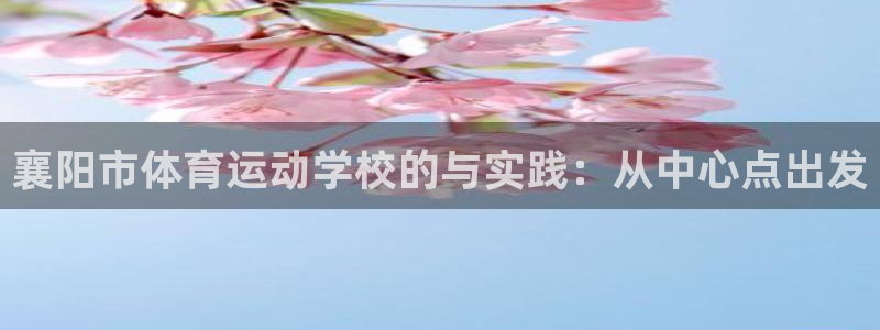 球王会体育：襄阳市体育运动学校的与实践：从中心点出发