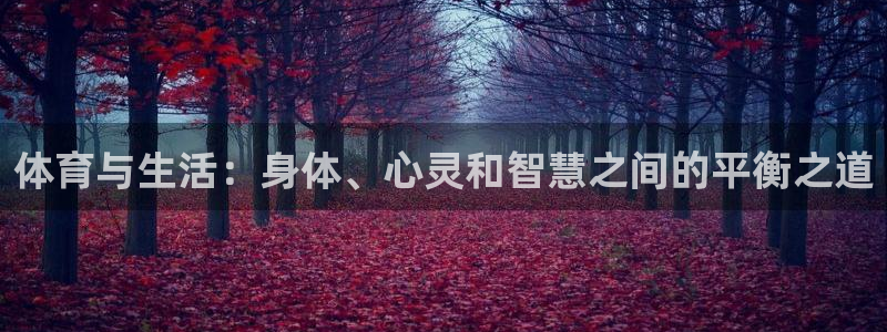 球王会体育：体育与生活：身体、心灵和智慧之间的平衡之道