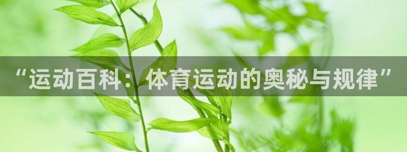 球王会体育：“运动百科：体育运动的奥秘与规律”