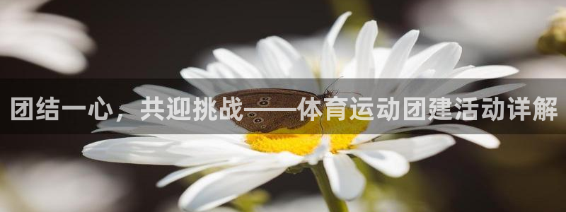 球王会体育：团结一心，共迎挑战——体育运动团建活动详解