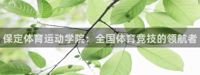 球王会体育：保定体育运动学院：全国体育竞技的领航者