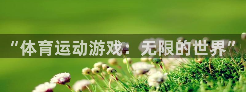 球王会体育：“体育运动游戏：无限的世界”
