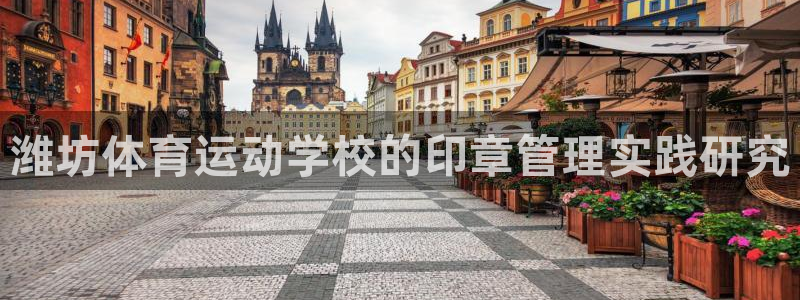 球王会体育：潍坊体育运动学校的印章管理实践研究