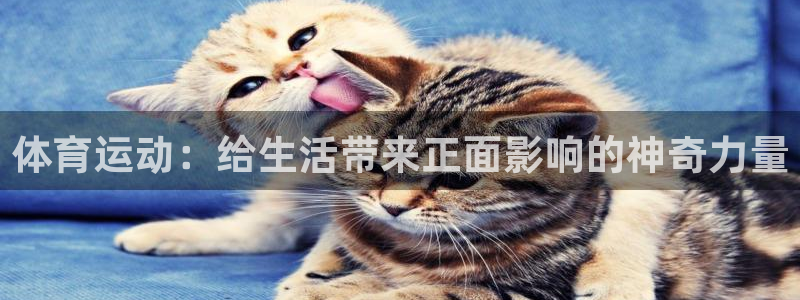 球王会体育：体育运动：给生活带来正面影响的神奇力量