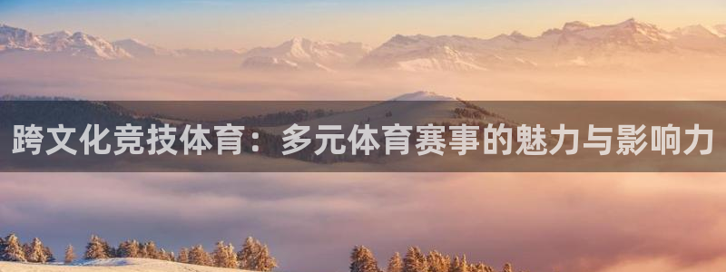 球王会体育：跨文化竞技体育：多元体育赛事的魅力与影响力