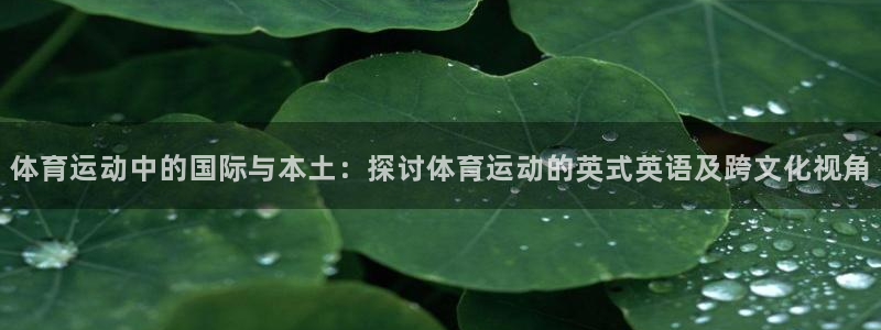 球王会体育：体育运动中的国际与本土：探讨体育运动的英式英语及跨文化视角